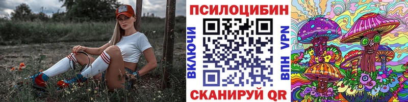 OMG как войти Козельск Псилоцибиновые грибы ЛСД наркота